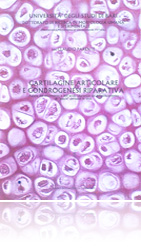 cartilagine